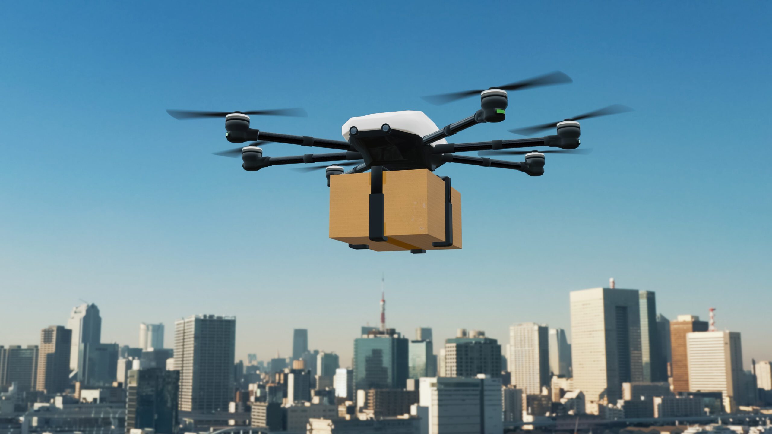 Delivery Drone